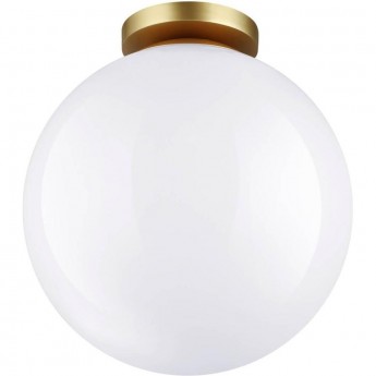 Потолочный светильник ODEON LIGHT BOSCO 4249/1C Потолочный светильник ODEON LIGHT BOSCO 4249/1C