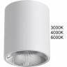 Потолочный светильник ODEON LIGHT BRIM 7139/12CL
