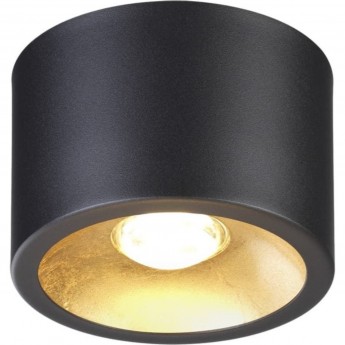 Потолочный светильник ODEON LIGHT GLASGOW 3875/1CL Потолочный светильник ODEON LIGHT GLASGOW 3875/1CL